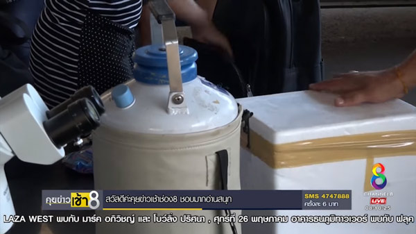 จับแก๊งอุ้มบุญ