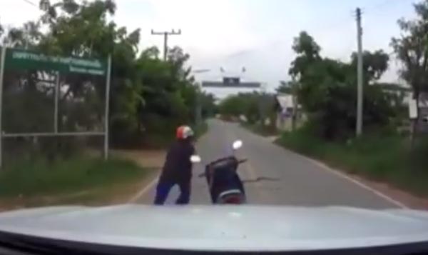 ฆ่างูมือเปล่า