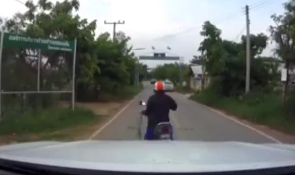ฆ่างูมือเปล่า