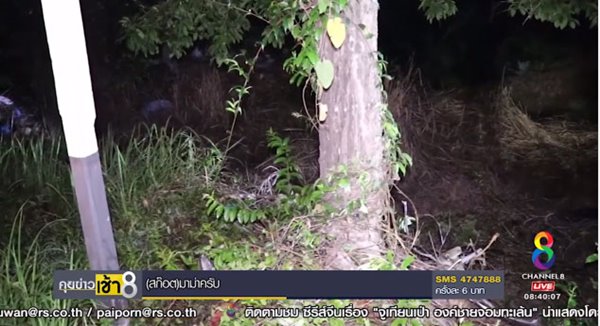 รถชนต้นไม้