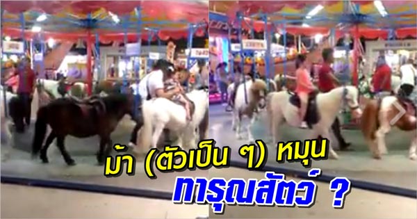 จับม้าตัวเป็น ๆ มาทำม้าหมุน