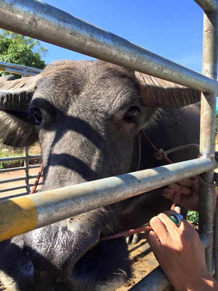 เจ้าบุญรอด