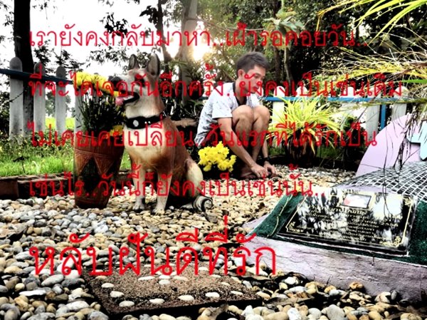 11 ปีแห่งความทรงจำ ก่อนมะเร็งพรากแฟนสาวจากไปชั่วนิรันดร์