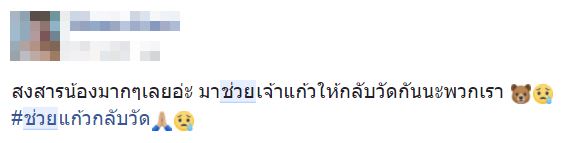 เจ้าแก้ว หมีควายทำร้ายคนเมา
