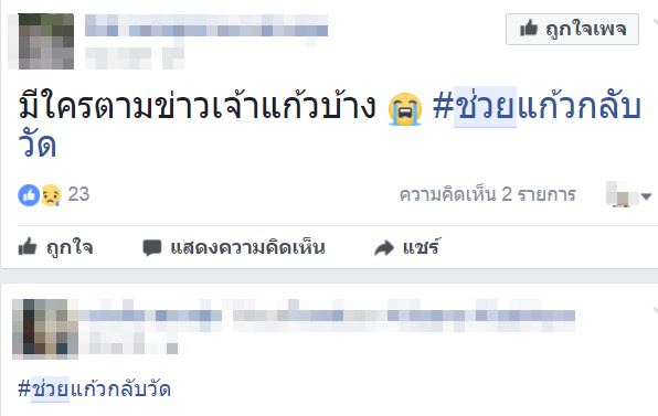 เจ้าแก้ว หมีควายทำร้ายคนเมา