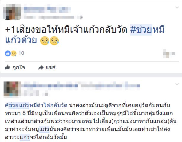 เจ้าแก้ว หมีควายทำร้ายคนเมา