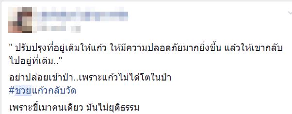 เจ้าแก้ว หมีควายทำร้ายคนเมา