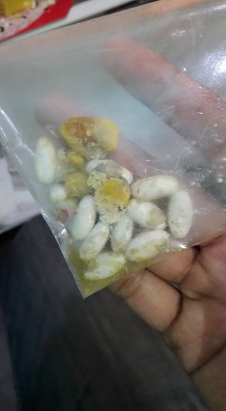 นักศึกษาแพทย์ฆ่าหมาเอาเงินประกัน