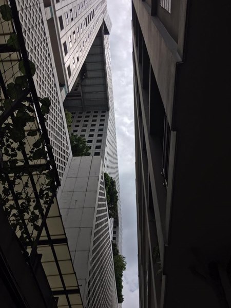 ตกตึกตาย