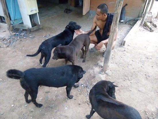 ข่าวระเบิดยะลา