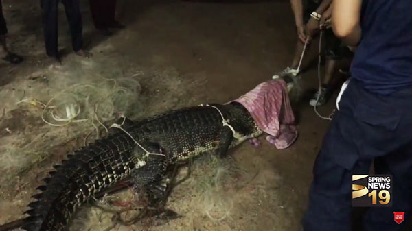 จระเข้ ภูเก็ต