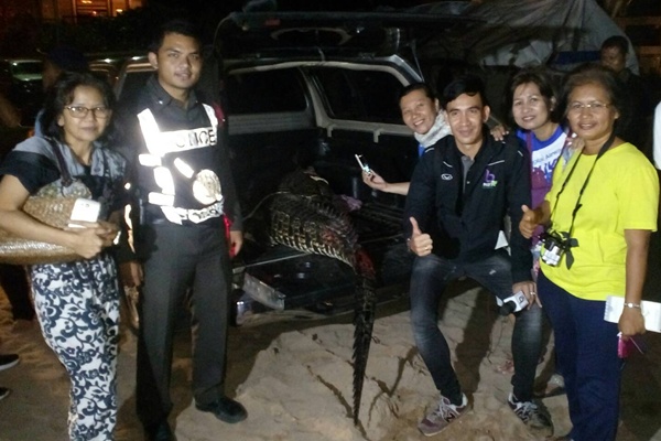 จระเข้ ภูเก็ต