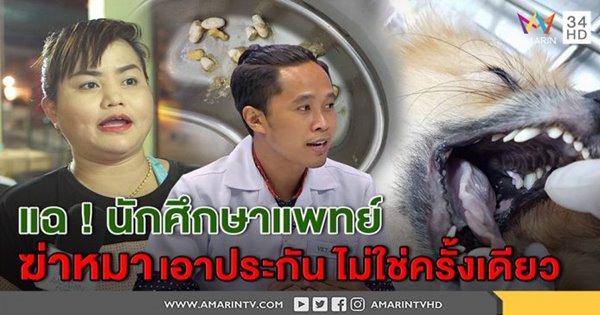 นักศึกษาแพทย์ฆ่าหมาเอาเงินประกัน