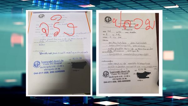 นักศึกษาแพทย์ฆ่าหมาเอาเงินประกัน