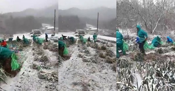 แรงงานไทยในเกาหลี