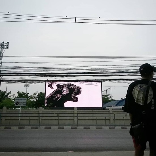 รองอธิการบดี ม.ราชมงคลธัญบุรี แถลงขอโทษปมภาพเสือดำ โผล่ขึ้นจอ LED