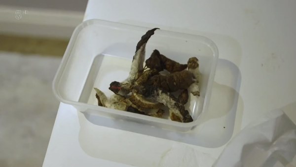 ยูทูบเบอร์หนีค่าเช่าบ้าน