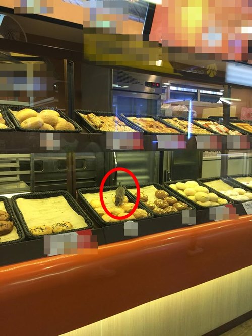หนูในร้านขนม