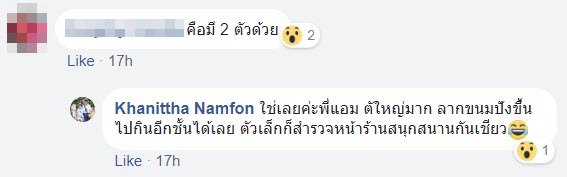 หนูในร้านขนม