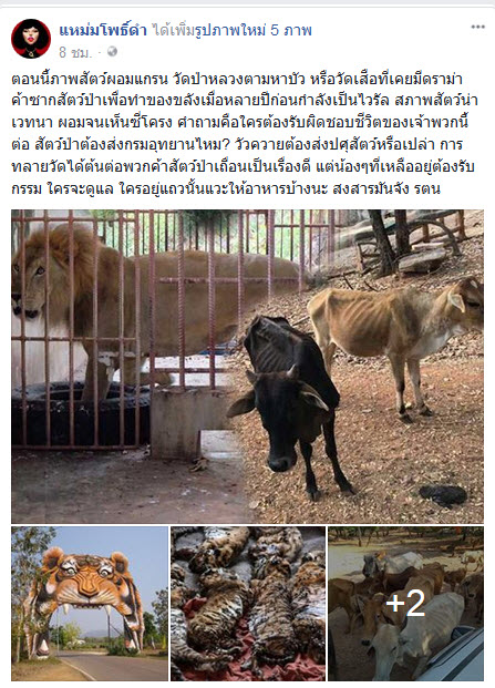 สัตว์ป่าวัดเสือ 