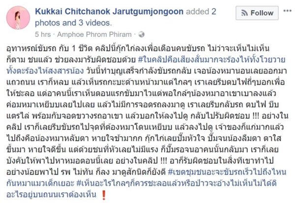 ช่วยสุนัขถูกรถชน
