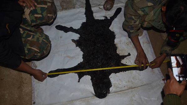 บิ๊กป้อม เผยไม่ต้องห่วงคดี เปรมชัย ล่าเสือดำ