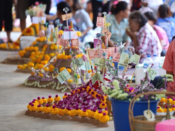 น้องแก้ม ชัญญา วงศ์ลาภพานิช