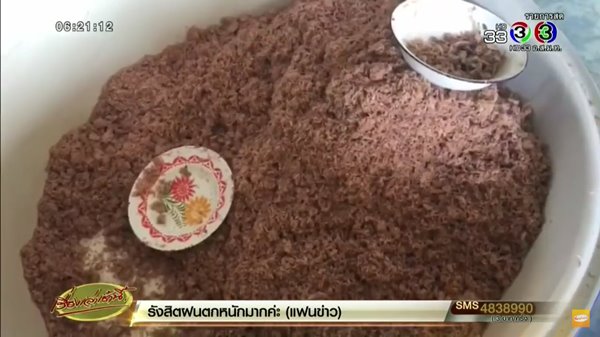 ผวา กลิ่นเหม็นปริศนาคลุ้งท่อระบายน้ำ 