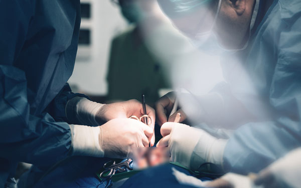 ผ่าตัดปลูกถ่ายหัวใจ