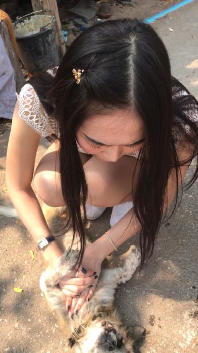 ช่วยสุนัขถูกรถชน