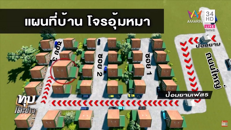 โจรอุ้มหมา