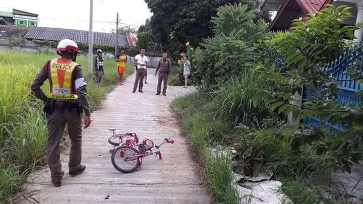 หมารุมขย้ำเด็ก 4 ขวบ