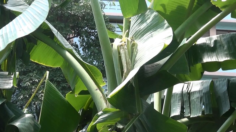 ทารกถูกทิ้ง