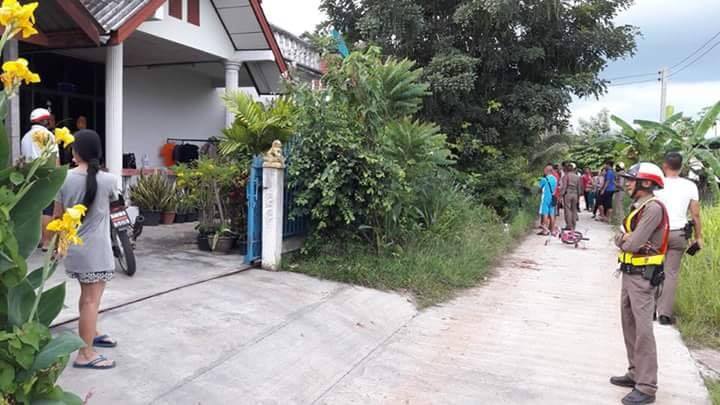 หมารุมขย้ำเด็ก 4 ขวบ