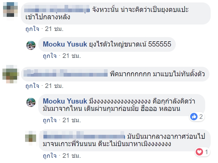 แมลงสาบเกาะหลังวินมอเตอร์ไซค์