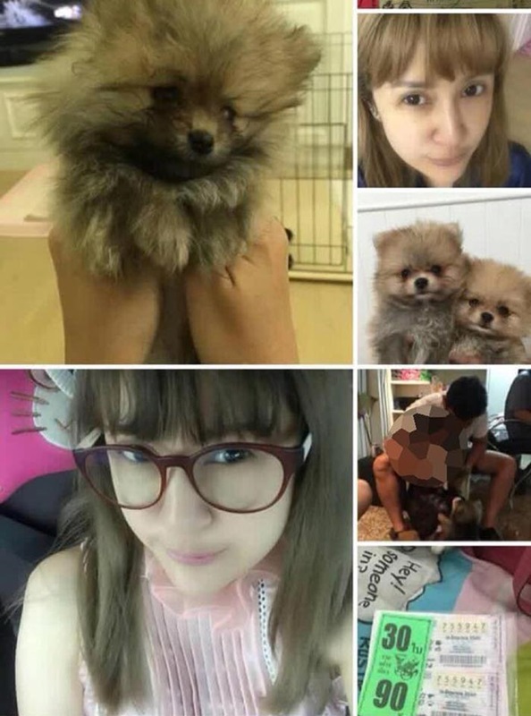 โจรอุ้มหมา