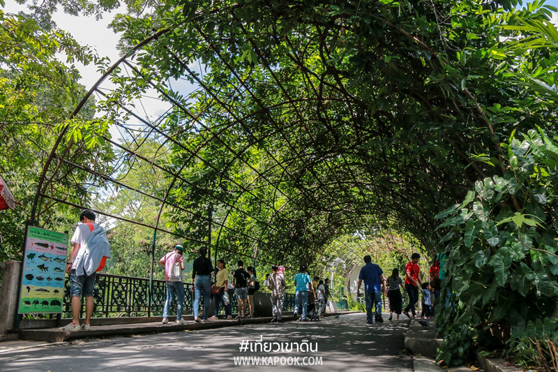 สวนสัตว์ดุสิต