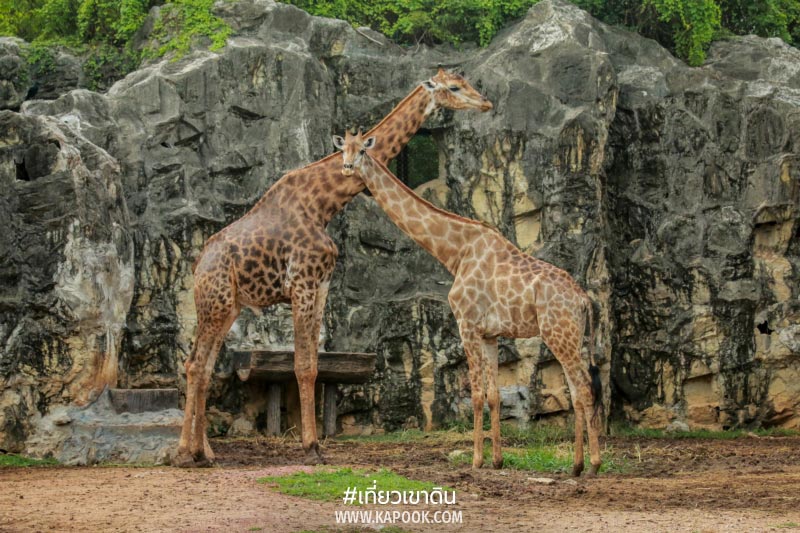 สวนสัตว์ดุสิต