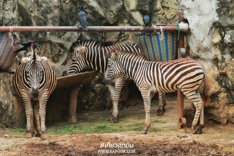 สวนสัตว์ดุสิต