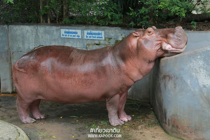 สวนสัตว์ดุสิต