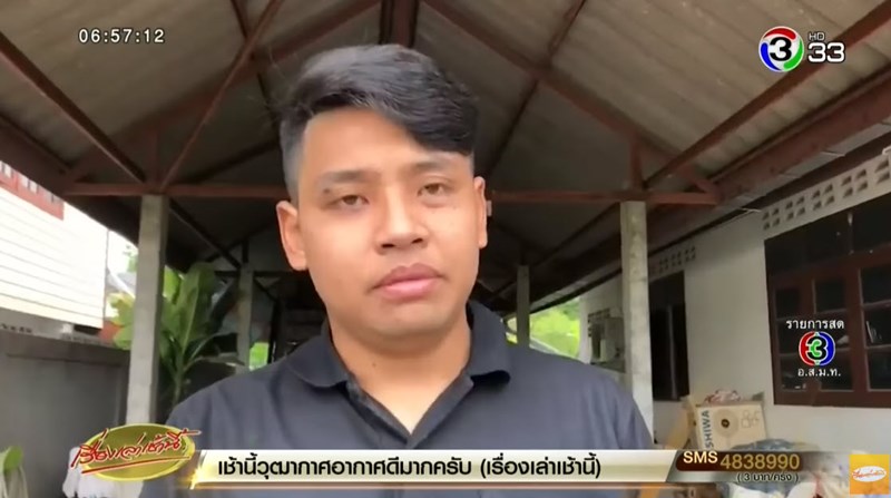 หมากัดเด็ก