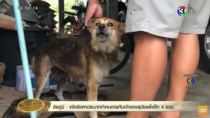 หมากัดเด็ก