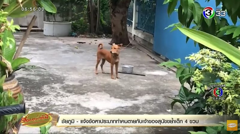 หมากัดเด็ก