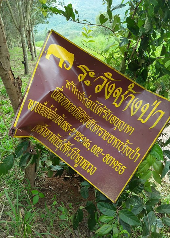 ช้างป่าเหยียบคนตาย