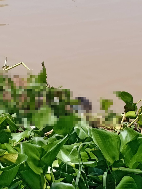 นายกเล็กขอนแก่น โดดน้ำตาย