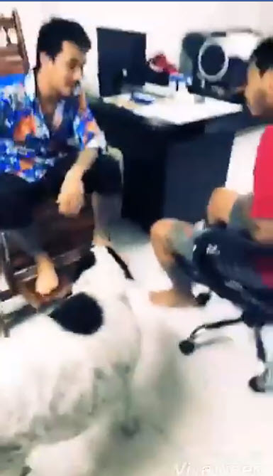 เสี่ยโป้ อานนท์