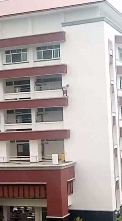 เด็ก ม.6 กระโดดตึกโรงเรียนดับ