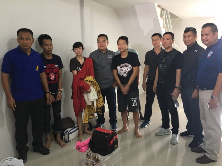 โจรอุ้มหมา