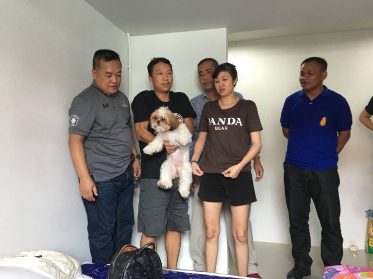 โจรอุ้มหมา