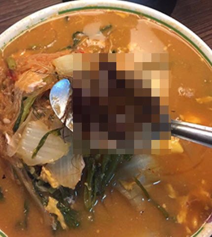 แมลงสาบในสุกี้